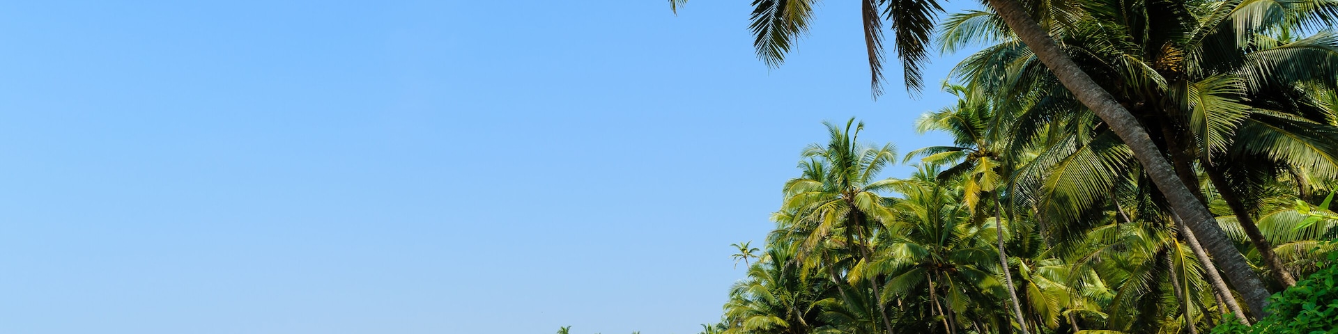 A beach with boats, palm trees, and a clear sky.