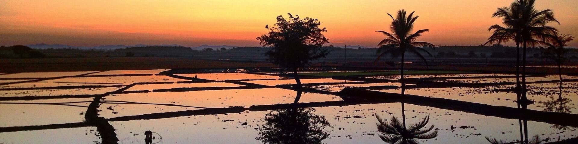 An early morning drive to Shimoga and I had to stop on the highway for this beauty. An hour away is Chikmangalur a coffe plantation area dotted with beautiful scenery.