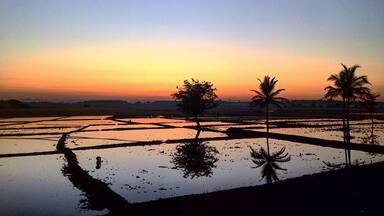 An early morning drive to Shimoga and I had to stop on the highway for this beauty. An hour away is Chikmangalur a coffe plantation area dotted with beautiful scenery.