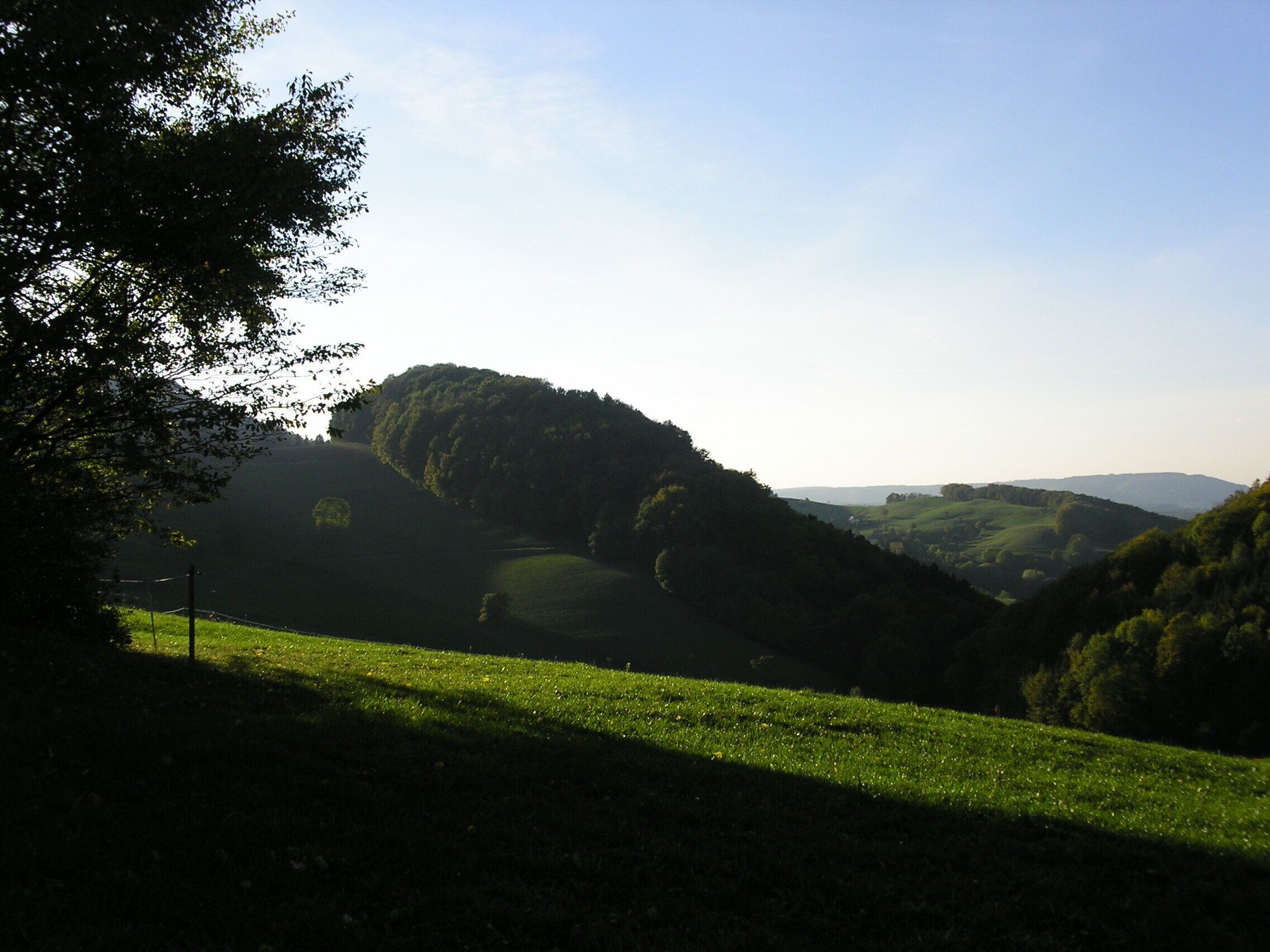 Feldweg oberhalb Thalheim