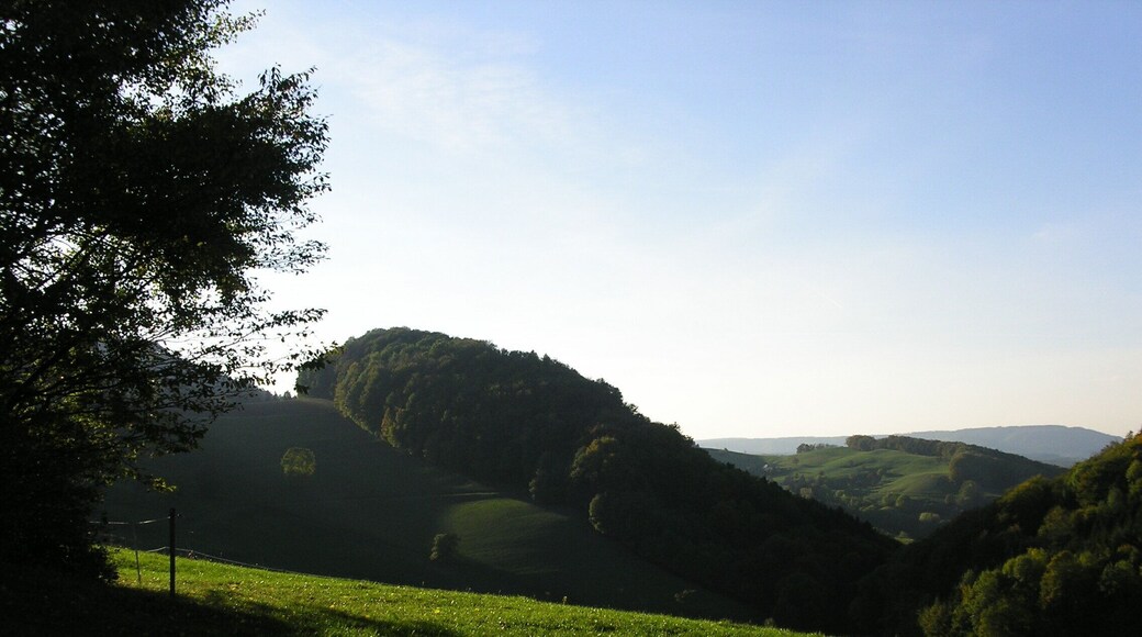Feldweg oberhalb Thalheim