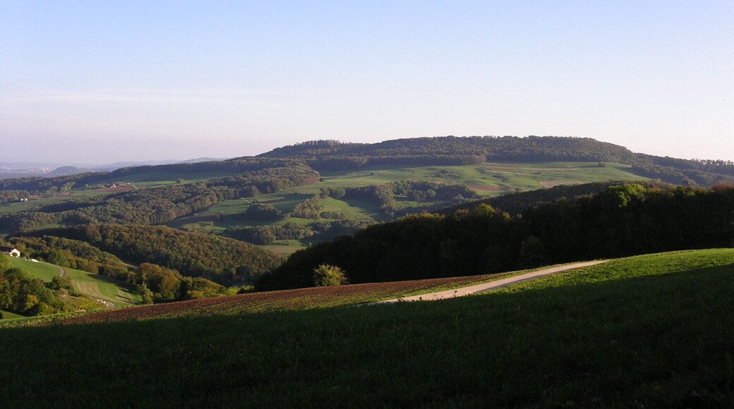 Oberhalb Thalheim, Blick auf Gisiflue