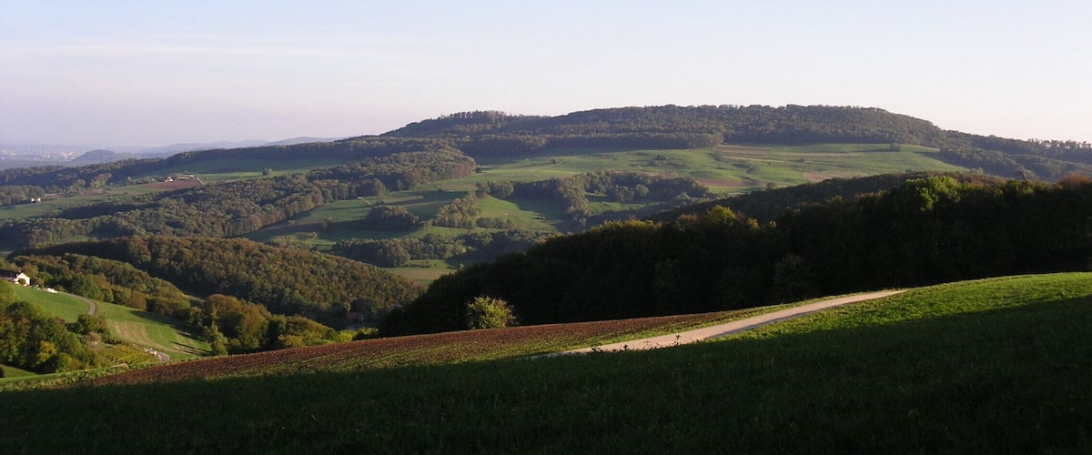 Rolling hills, a clear sky, and a distant building.