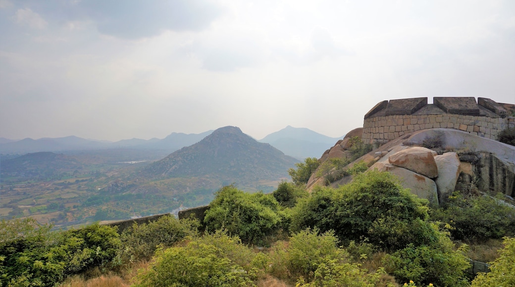 ๋ฌผ๋ฐ๊ฐ