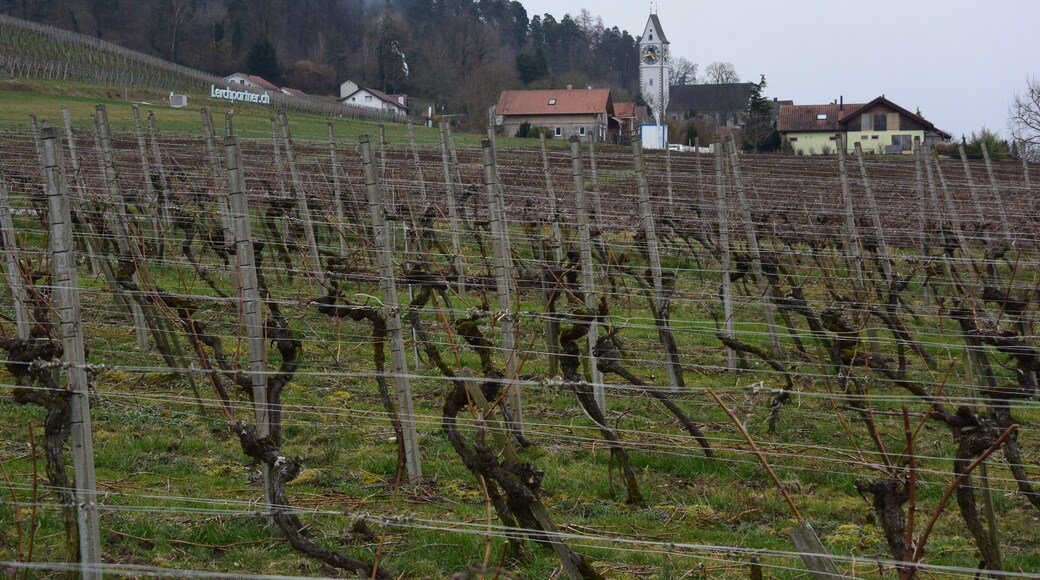 Kirche Unterstammheim