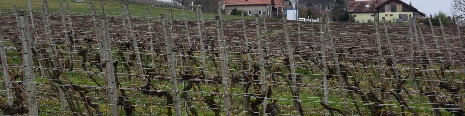 Kirche Unterstammheim