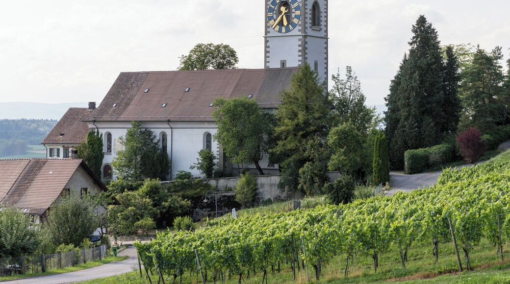 This is an image of a cultural property of national significance in Switzerland with KGS number