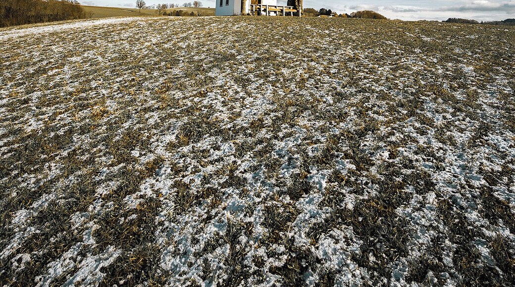 Located atop the hill, this small, but beautiful chapel is able to give you a peace of mind!