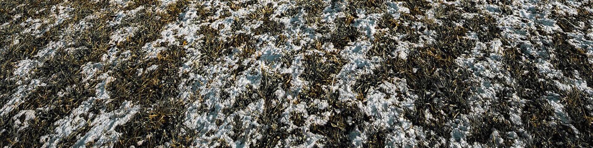 Located atop the hill, this small, but beautiful chapel is able to give you a peace of mind!