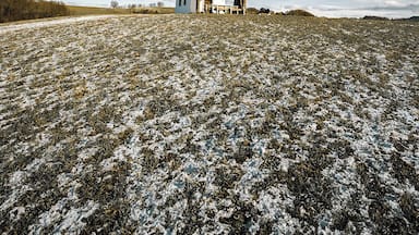 Located atop the hill, this small, but beautiful chapel is able to give you a peace of mind!