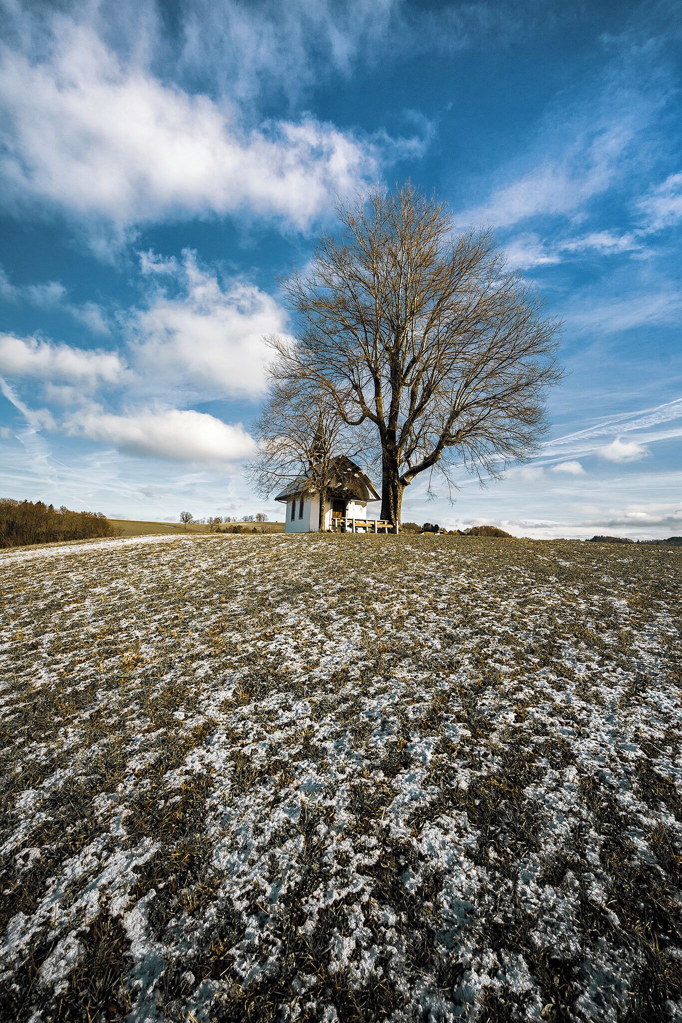 A snow-covered field with a house and a large tree in the background.