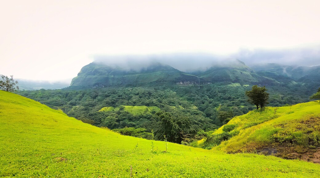 Grassland and mist covered mountains at Tamhini ghat