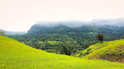Grassland and mist covered mountains at Tamhini ghat