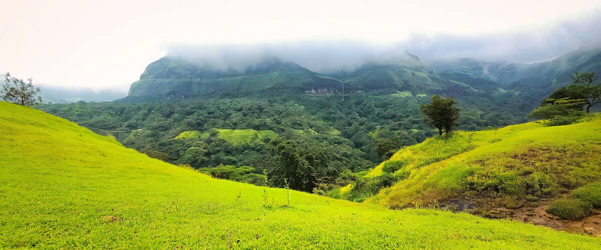 A lush green valley with rolling hills and a misty mountain backdrop.