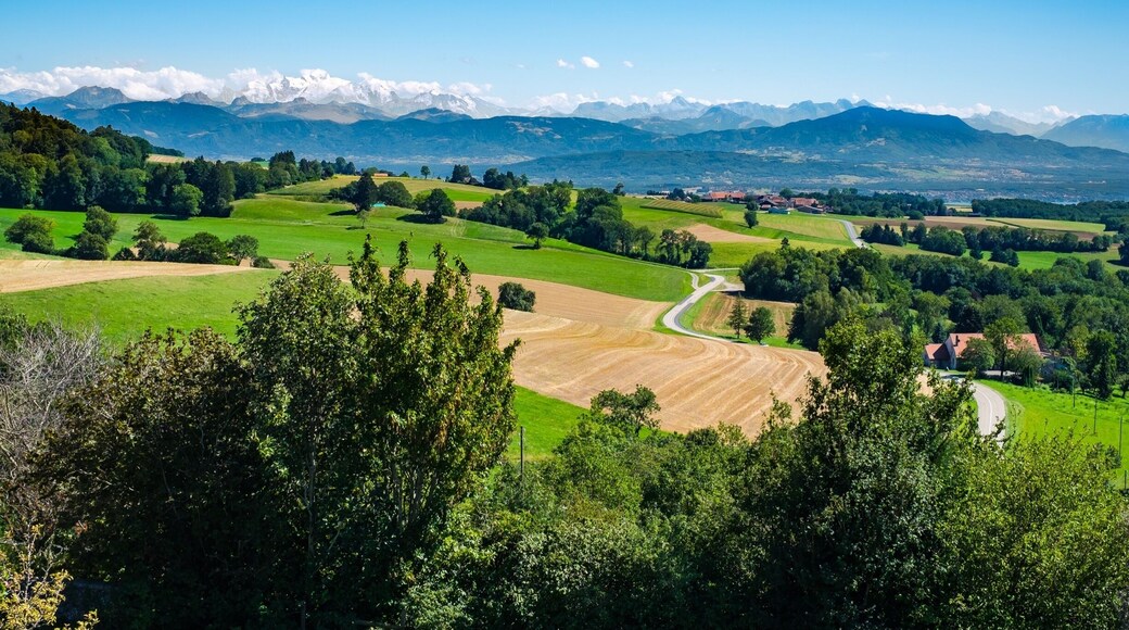 Go to the cemetery, just adjacent to the Church to experience this amazing view of the Swiss countryside, the Léman and the Mont Blanc Massif in France ! There are even benches to allow you to relax and just take in the panorama ...