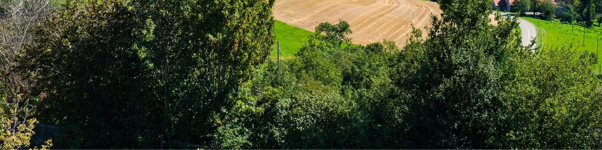 Go to the cemetery, just adjacent to the Church to experience this amazing view of the Swiss countryside, the Léman and the Mont Blanc Massif in France ! There are even benches to allow you to relax and just take in the panorama ...