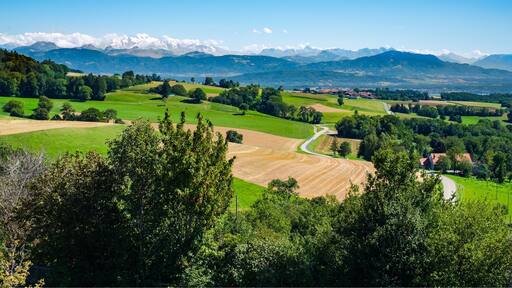 Go to the cemetery, just adjacent to the Church to experience this amazing view of the Swiss countryside, the Léman and the Mont Blanc Massif in France ! There are even benches to allow you to relax and just take in the panorama ...