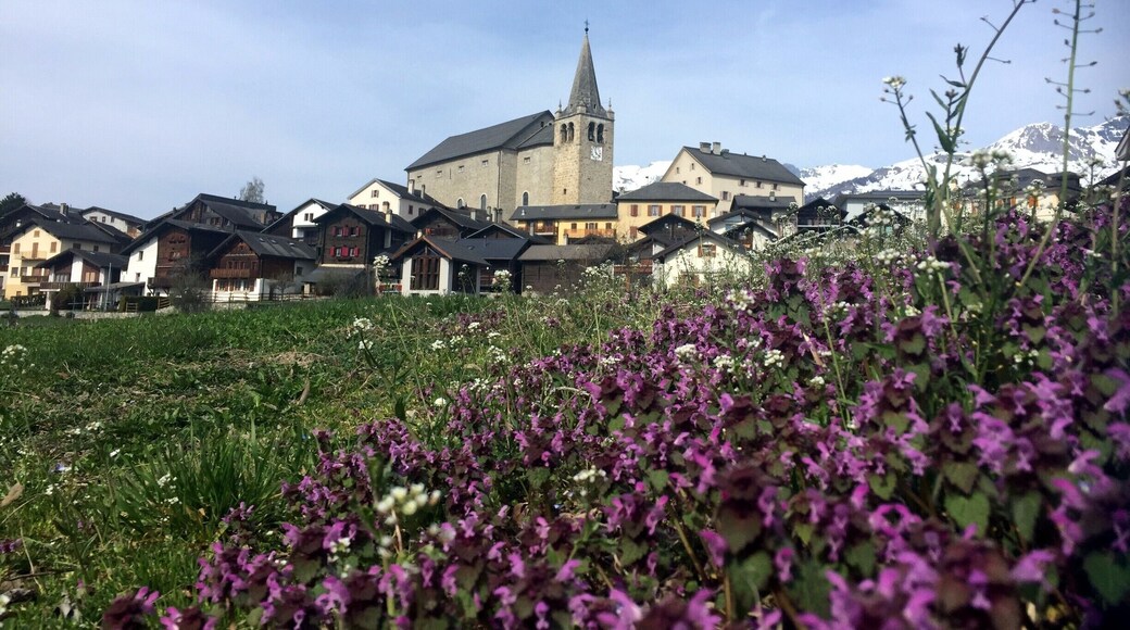 Spring colors in Eison, a lovely traditional village 30 minutes away from Sion, and offering multiple hiking opportunities.
#Switzerland #Valais #Lifeatexpedia #Hiking #Herens#Flowers #Village