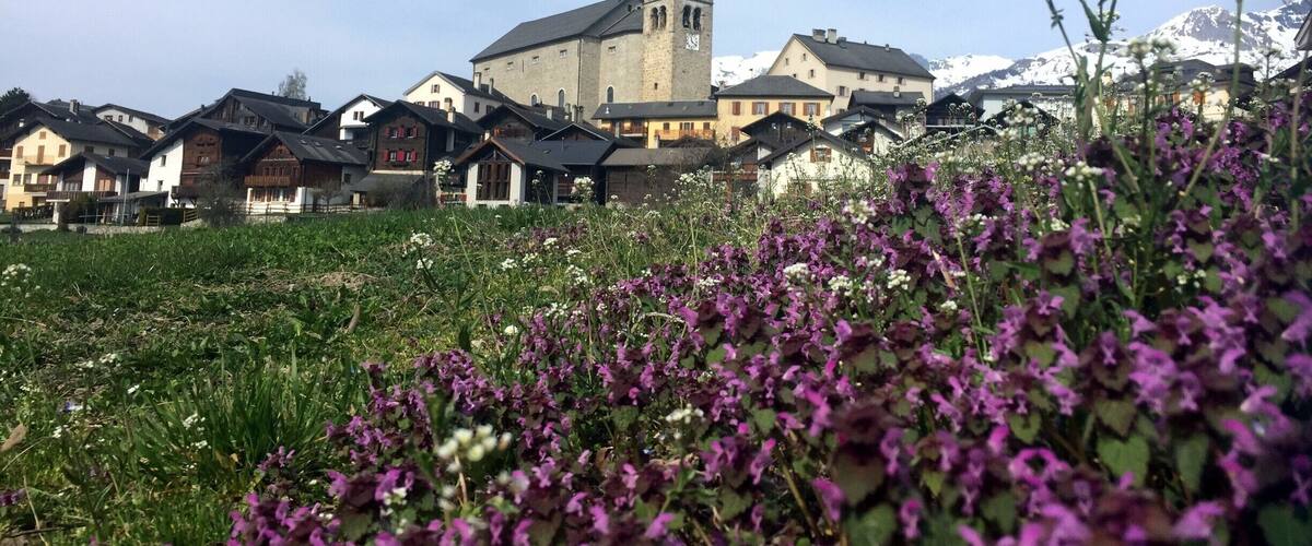 Spring colors in Eison, a lovely traditional village 30 minutes away from Sion, and offering multiple hiking opportunities.
#Switzerland #Valais #Lifeatexpedia #Hiking #Herens#Flowers #Village