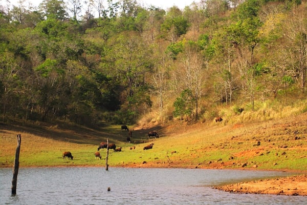 #throwback #kerala #travel #discover #thetinytaster #tinygoestravelling