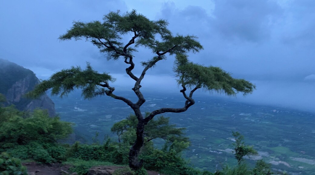 The Seetharkund viewpoint is a beautiful viewpoint at Nelliyampathy, Palakkad, which gives the breathtaking valley view of whole Palakkad and at the edge of the Seetharkund viewpoint trail we can see the Seetharkund waterfalls, the best time to visit and view the waterfall is during monsoon. Seetharkund is believed to be the place where Lord Ram, Lakshman, and Goddess Sita took rest during their exile period. At Seetharkund you will also find the famous tree that has become the landmark for Nelliampathy. Where ever you search for Nelliampathy the first thing you get to see is the gooseberry tree. When you move a bit from there you can find the suicide point from where the Seetharkund waterfall will be visible.
An adventure yet peaceful experience is promised at Seethargundu View Point. The cloudy sky merging with the greenery is a sight to behold. A must visit for the nature lovers!