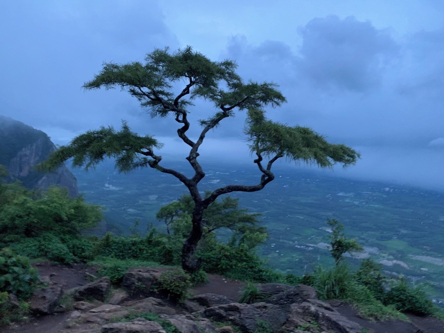 The Seetharkund viewpoint is a beautiful viewpoint at Nelliyampathy, Palakkad, which gives the breathtaking valley view of whole Palakkad and at the edge of the Seetharkund viewpoint trail we can see the Seetharkund waterfalls, the best time to visit and view the waterfall is during monsoon. Seetharkund is believed to be the place where Lord Ram, Lakshman, and Goddess Sita took rest during their exile period. At Seetharkund you will also find the famous tree that has become the landmark for Nelliampathy. Where ever you search for Nelliampathy the first thing you get to see is the gooseberry tree. When you move a bit from there you can find the suicide point from where the Seetharkund waterfall will be visible.
An adventure yet peaceful experience is promised at Seethargundu View Point. The cloudy sky merging with the greenery is a sight to behold. A must visit for the nature lovers!