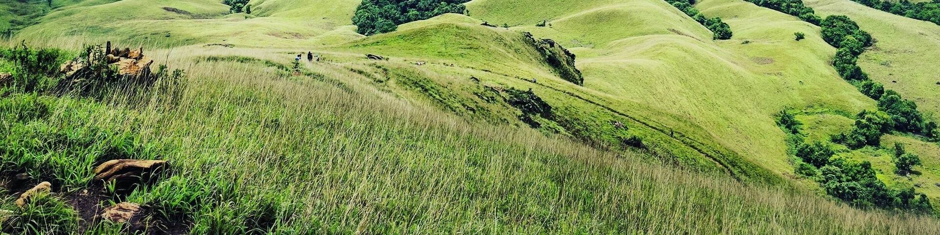 The colors of nature!!