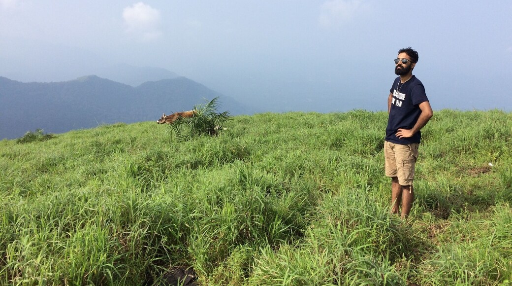 The mountains welcomed me with open arms..