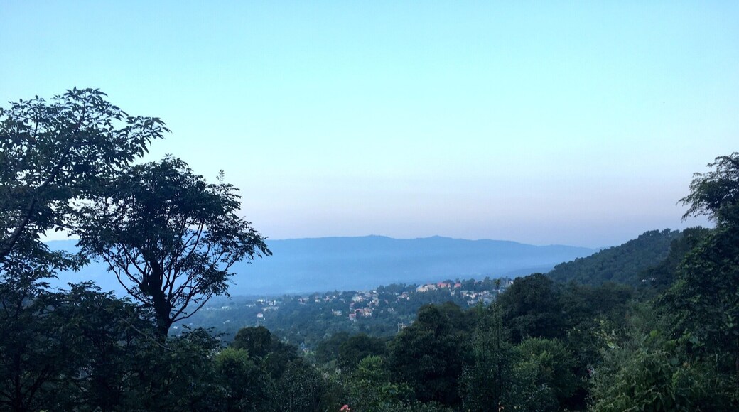Early morning walks leading to unknown pathways...... Near Shanan Power House, Brij Mandi, Joginder Nagar......