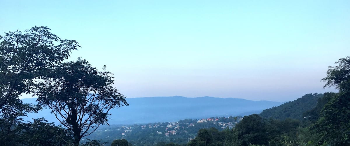 A lush green landscape with a winding path, dense foliage, and distant hills.