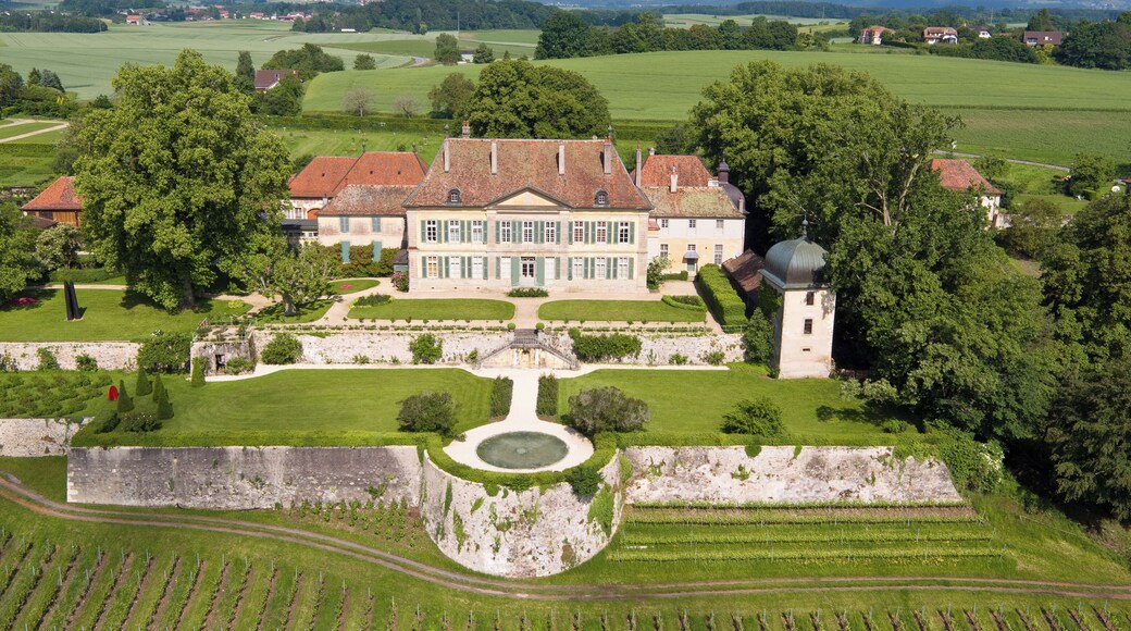 Le Château de Vullierens actuel