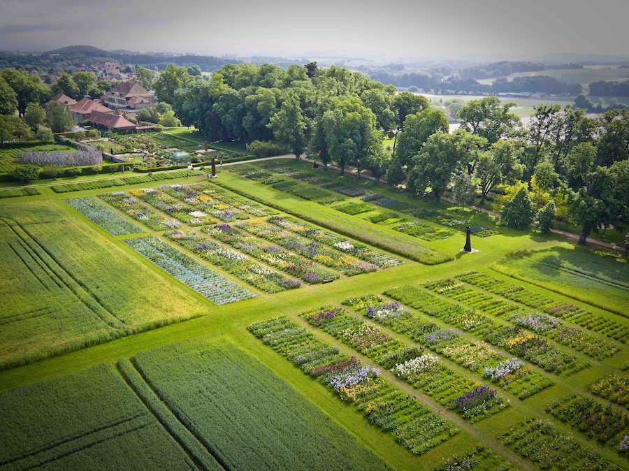 Une vue aérienne d’un jardin bien entretenu, avec des parterres de fleurs soigneusement aménagés et une grande variété d’arbres.