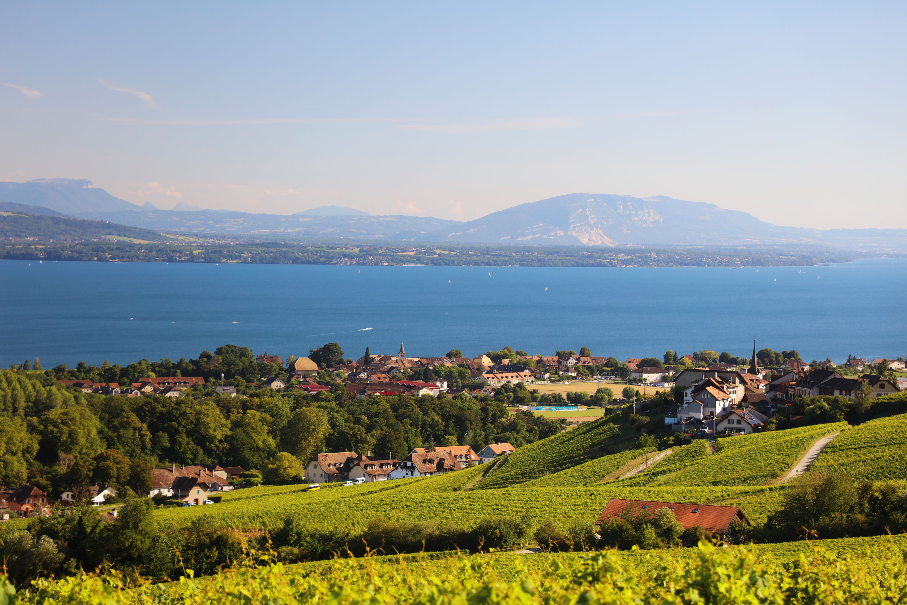 Rolle et Perroy vu des vignes de Mont-sur-Rolle