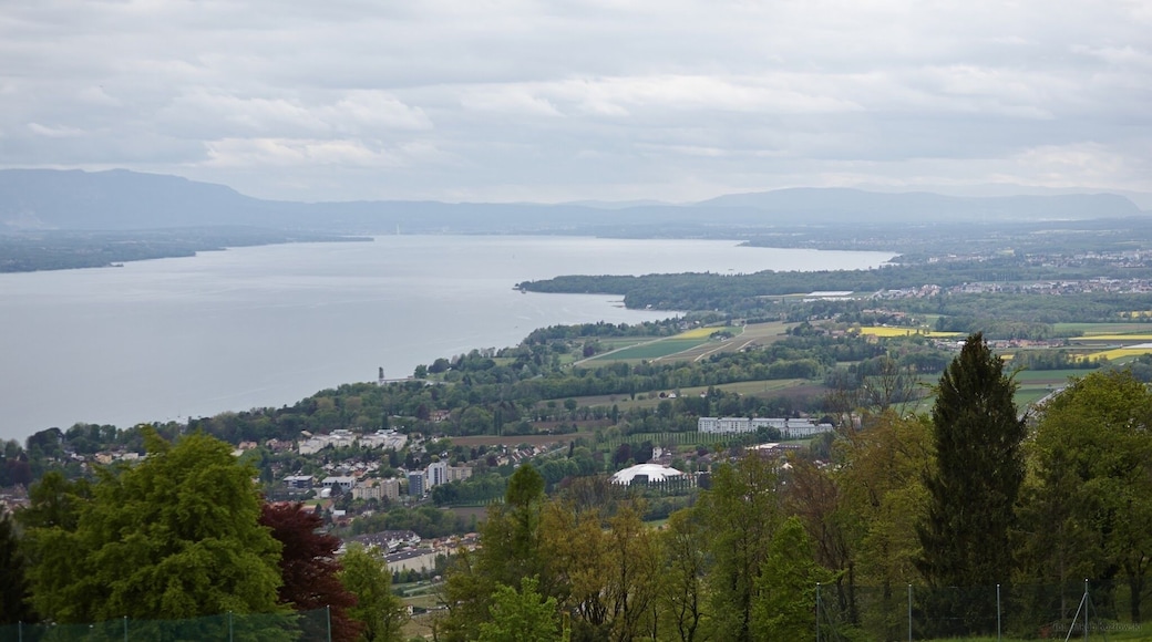 copyright foto: Jakub Kozlowski