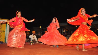 A Traditional Rajasthani Dance will enchant you with there rhythmic move and colorful sari...
