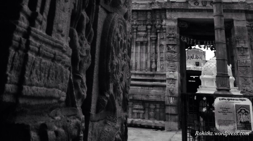 In the lower Ahobila Lakshmi Narasimha Swami is in a peaceful form. The temple has exquisite stone art. Lord Srinivasa himself is said to installed the main deity here. He is said to have sought the blessings of Narasimha before his wedding but finding the Narasihma in fierce form in Upper Ahobila, he is said to have installed the peaceful form in the lower Ahobila.
It is a common practice to worship the Prahlada Varada Narasimha in lower Ahobilam before worshipping Eguva Ahobila Narasimha, who is present eight kilometers away on a hilltop inside a cave. After worshipping the Lord, it is another practice to visit Navanarasimhas (nine Narasimhas). The legend says Lord Narasimha, after slaying Hiranyakasipa was roaming around the forest hills of Ahobilam making fearsome laughs and settling at nine places to bless the devotees. Here are the Nava Narasimha temples. Another legend describes when Lord Garuda did penance to see Lord Vishnu in Lord Narasimha form. Thereafter, Lord Narasimha took nine different forms in this hill.