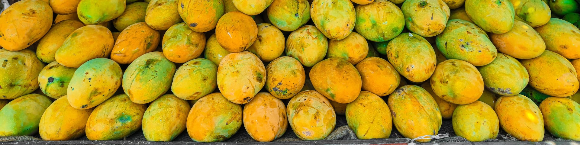 Banginapalli, Neelum mango, Alphanso, Mulgoa, Ratnagiri mango, Malda mango, Sindhura mango, kesar mango, haapus mango, himsagar mango, Bangalora, langra mango seeling at mambakkam, chennai, india.