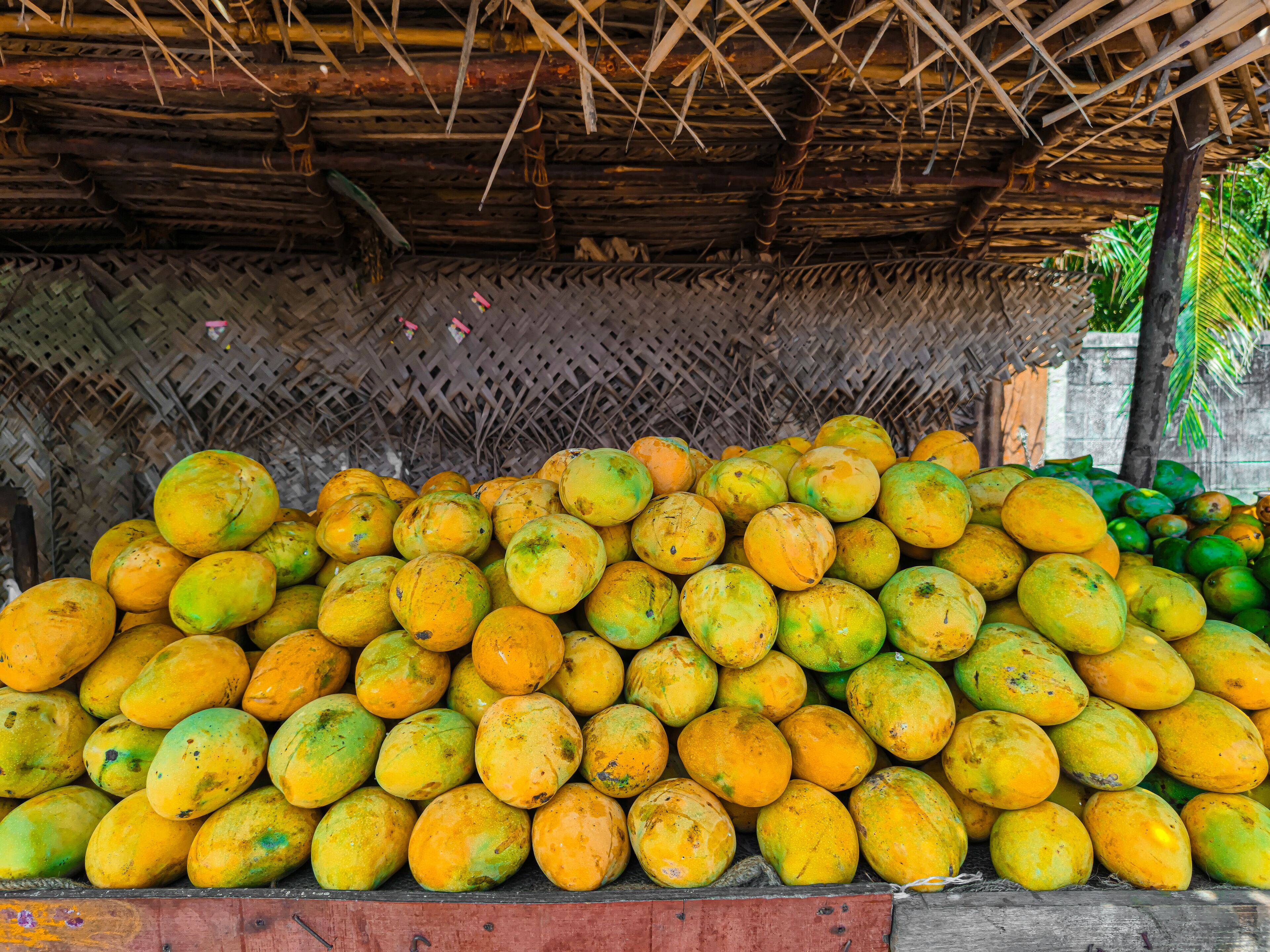 A large pile of yellow and green mangoes under a thatched roof.