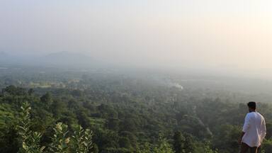 A man overlooking a lush green valley with distant mountains.