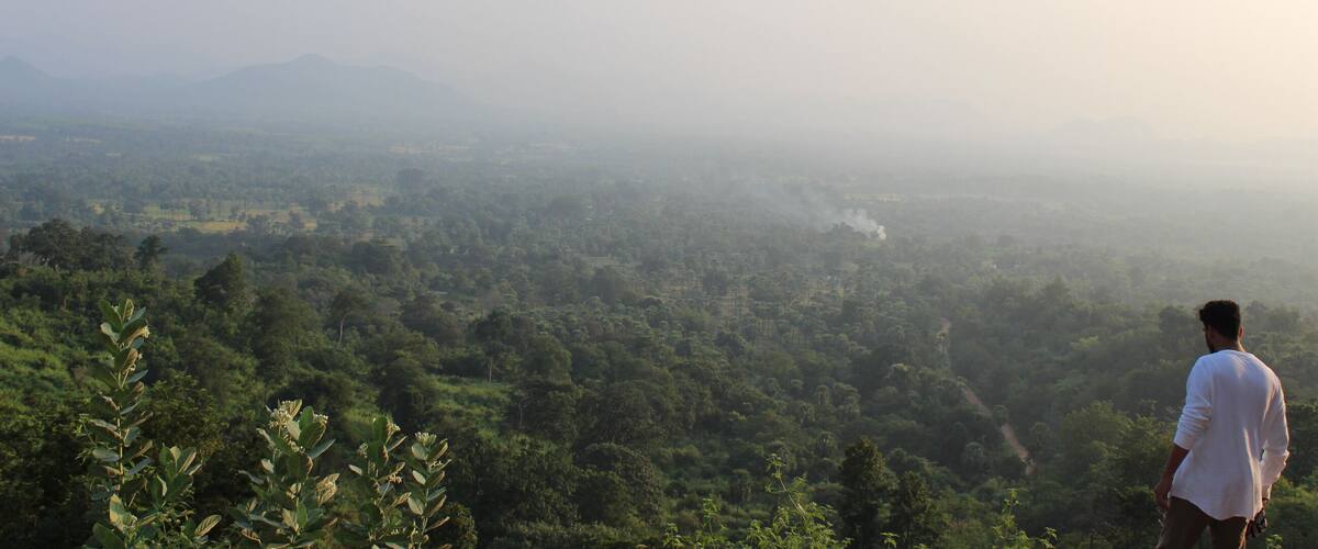 A man overlooking a lush green valley with distant mountains.