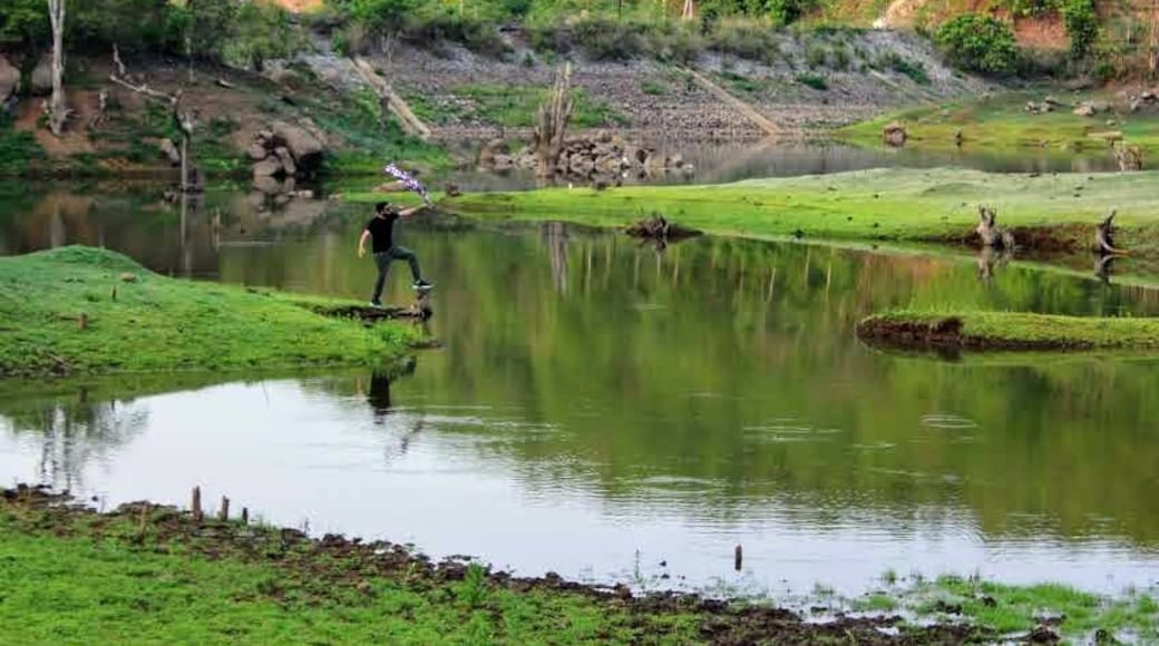 Stop and see the beauty of the bupathi palem reservoir
