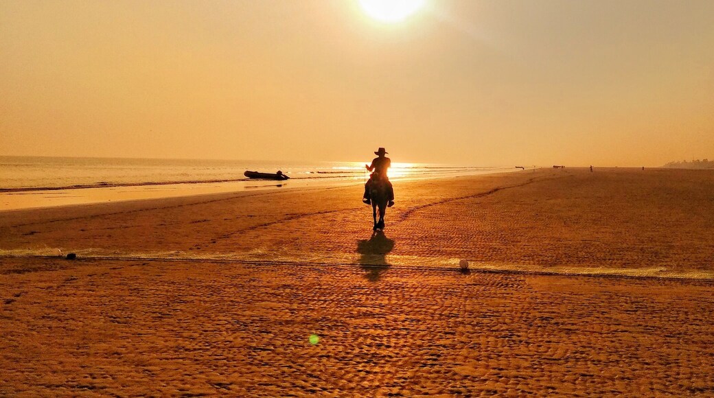 Beautiful beach ride...
#golden # lusty