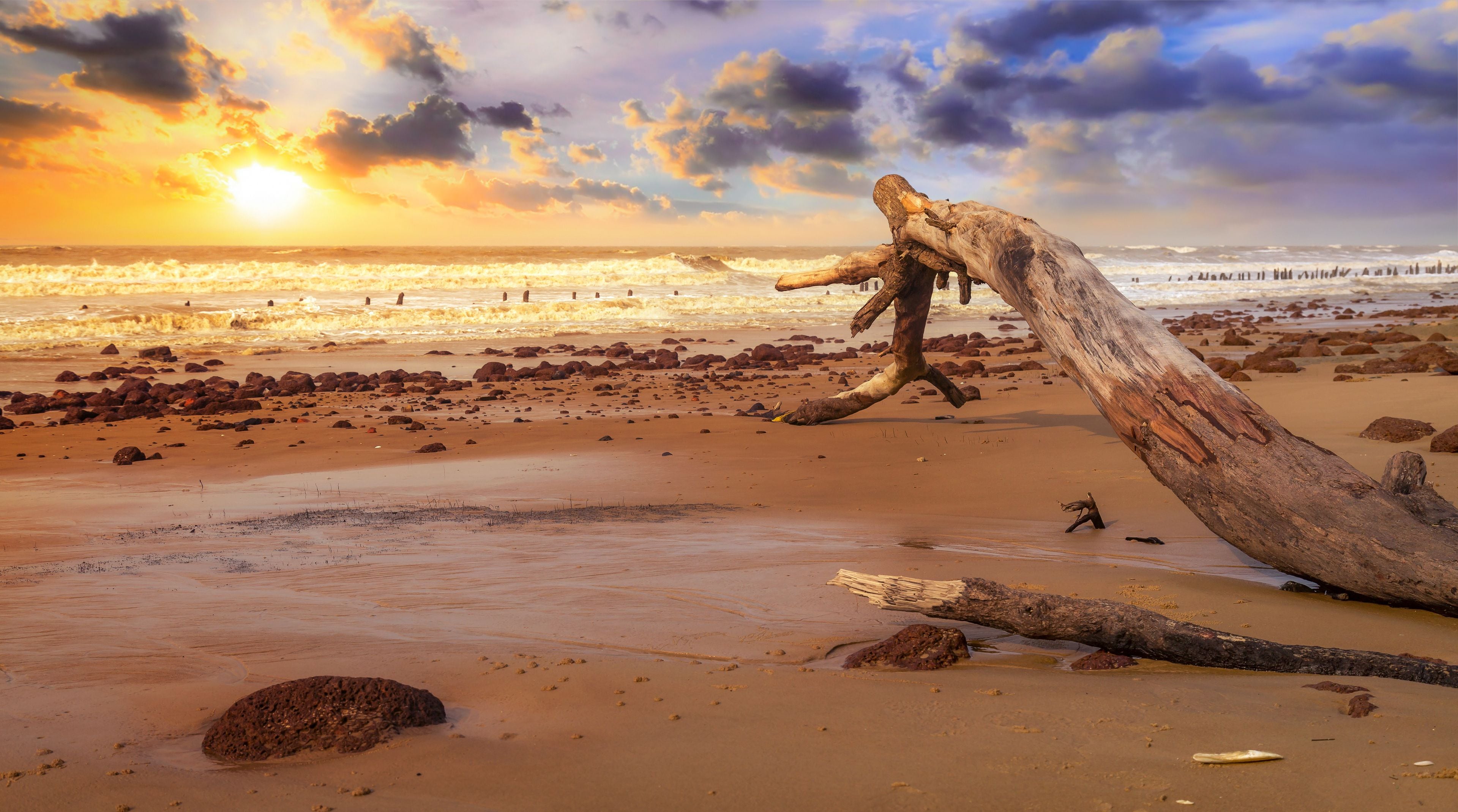 A beach with a fallen tree trunk, scattered rocks, and the ocean in the background.