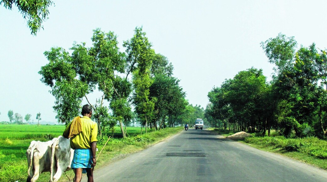 Travelling thru the Roads of Rural Bengal where still people walk to the far away markets for their daily needs.