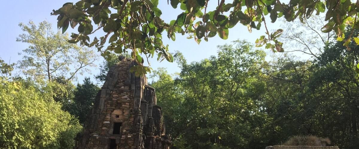 An ancient stone temple with intricate carvings, surrounded by lush greenery.