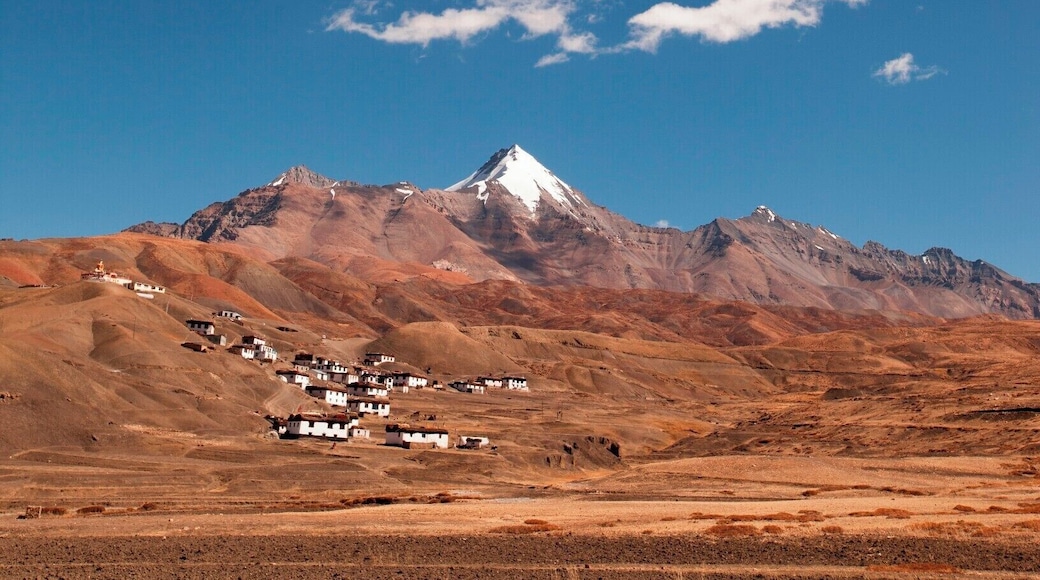 It is a small village situated 14,000 feet above sea level in Spiti Valley. Langza is also considered as one of the highest villages in the world connected with motorable road after Komic. Hatt off to the road department for connectivity at such great heights. #StunningStructures