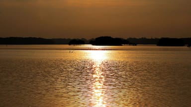 Golden Nature
Thol Lake
Thol Wildlife Sanctuary
#AdventurePacked
#Golden