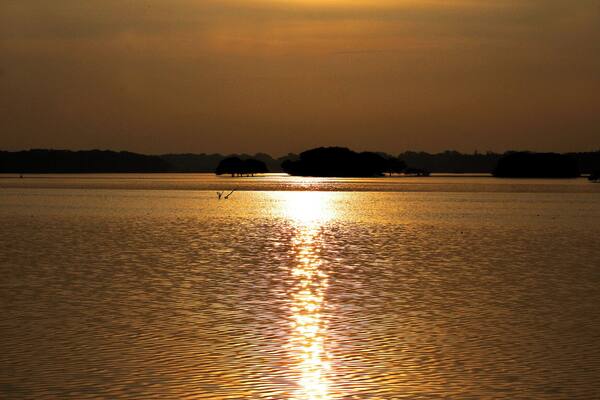 Golden Nature
Thol Lake
Thol Wildlife Sanctuary
#AdventurePacked
#Golden