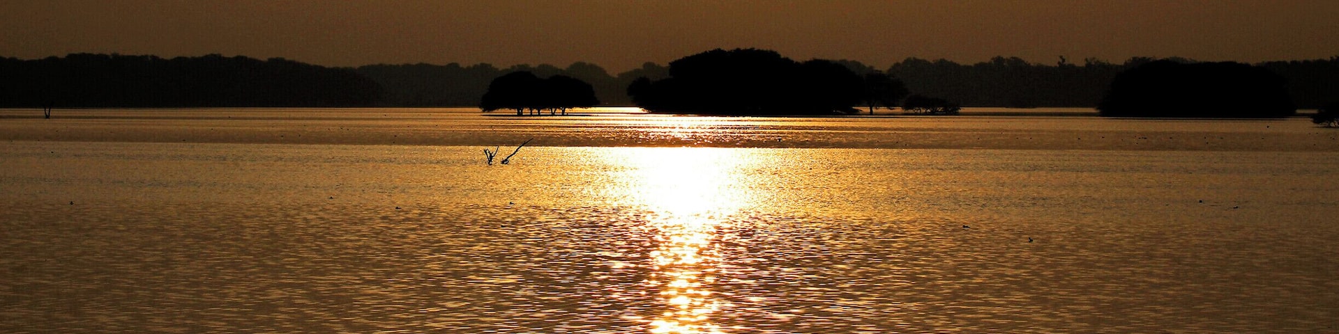 Golden Nature
Thol Lake
Thol Wildlife Sanctuary
#AdventurePacked
#Golden