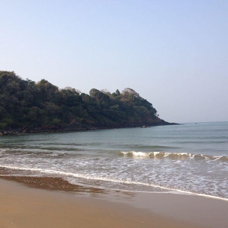 Canacona is an administrative region in south Goa, in India. Canacona's beach belt, 'discovered' by tourism only after the 1990s, is among the most scenic. Palolem is a milder recreation of an east-meets-west Goan beach, with a rich variety of exotic food. Canacona is one part of Goa where hillocks jut out almost directly into the sea. Villages are tucked away in low-lying areas, which are carpeted by a sea of green-topped coconut trees. Until foreign migration and tourism came to this area, the coconut tree was the means by which many eked a living, apart from fishing.